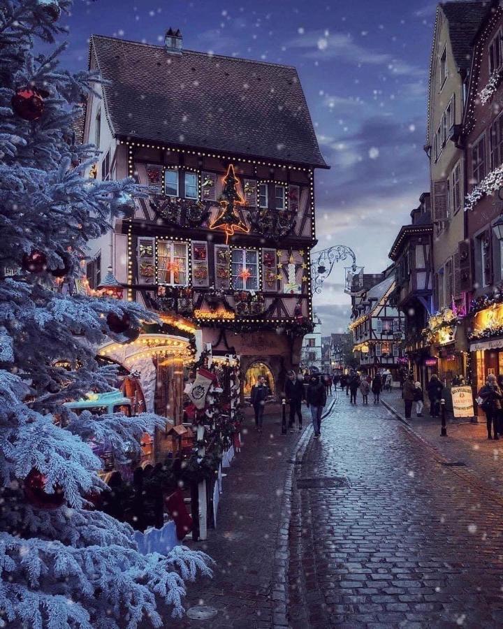 Gite Les Lavandieres Кольмар Экстерьер фото