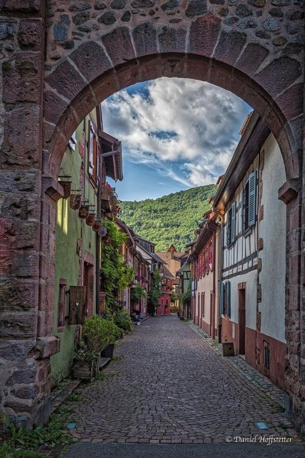 Gite Les Lavandieres Кольмар Экстерьер фото